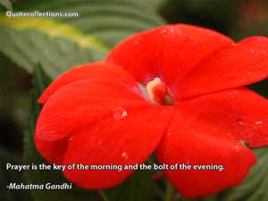 mother_teresa_quotes Quotes 4